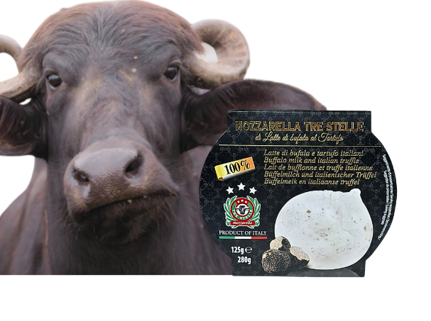 Büffel mit trüffel